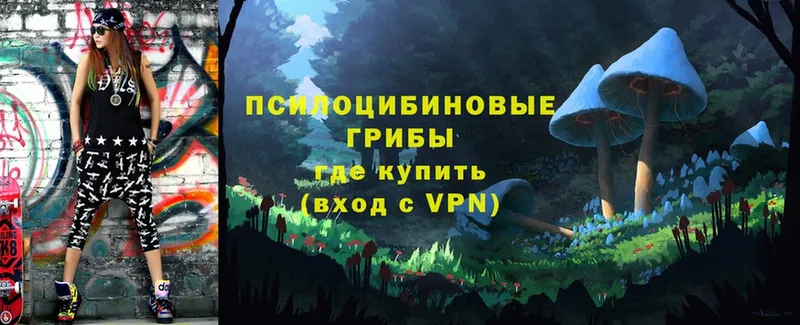 сайты даркнета какой сайт  Арамиль  Галлюциногенные грибы Psilocybe  купить наркоту 